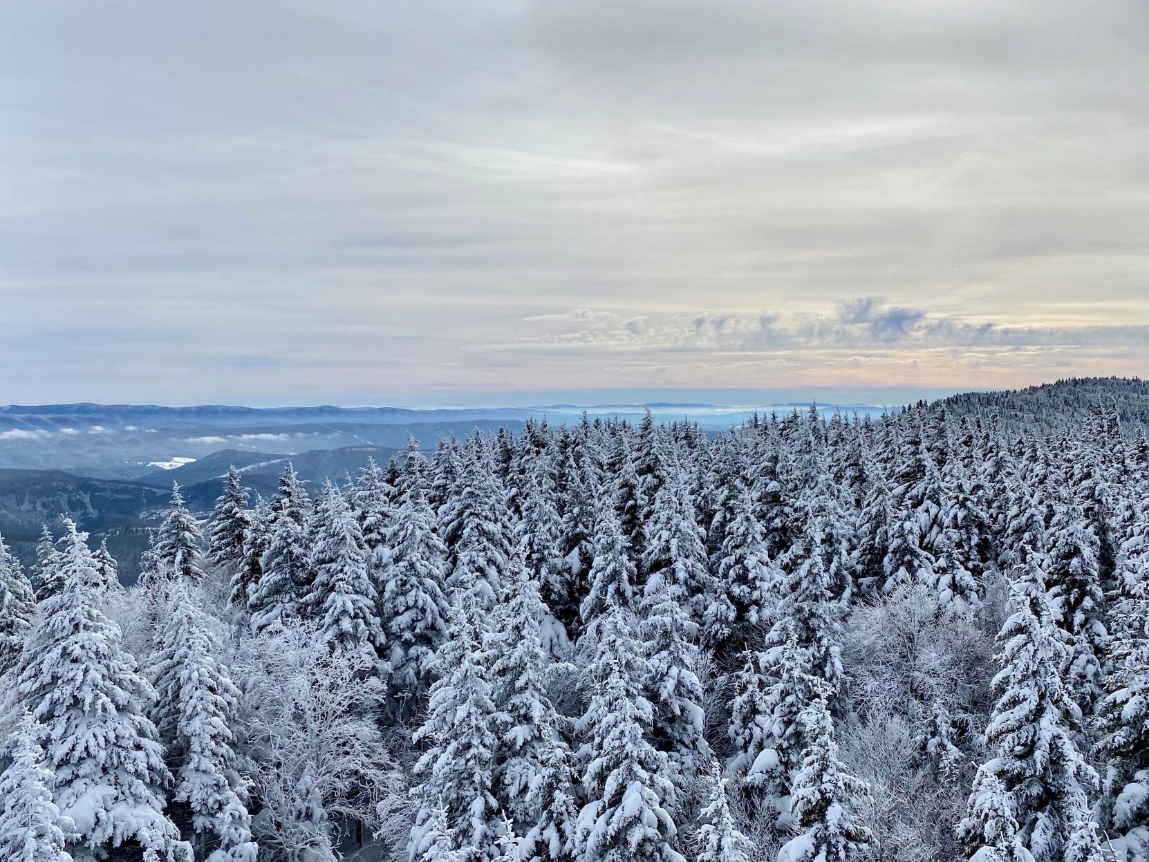 Winter Wonderland Delight